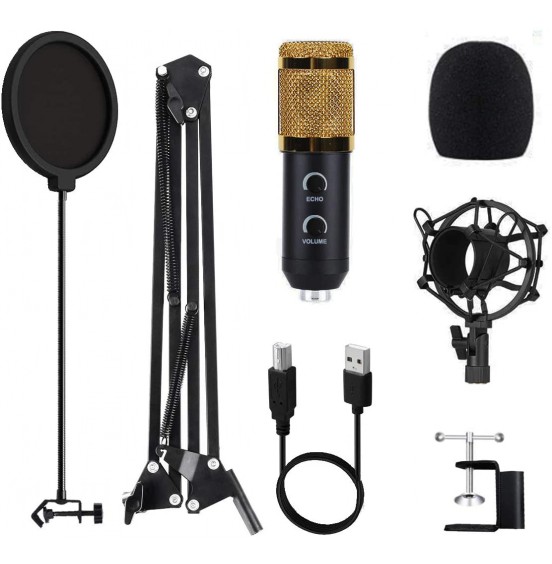 2021 Upgraded USB Condenser Microphone for Computer, Great for Gaming, Podcast, LiveStreaming, YouTube Recording, Karaoke on PC, Plug & Play, with Adjustable Metal Arm Stand, Ideal for Gift, Black 2021 Upgraded USB Condenser Microphone for Computer, Great for Gaming, Podcast, LiveStreaming, YouTube Recording, Karaoke on PC, Plug & Play, with Adjustable Metal Arm Stand, Ideal for Gift, Black
